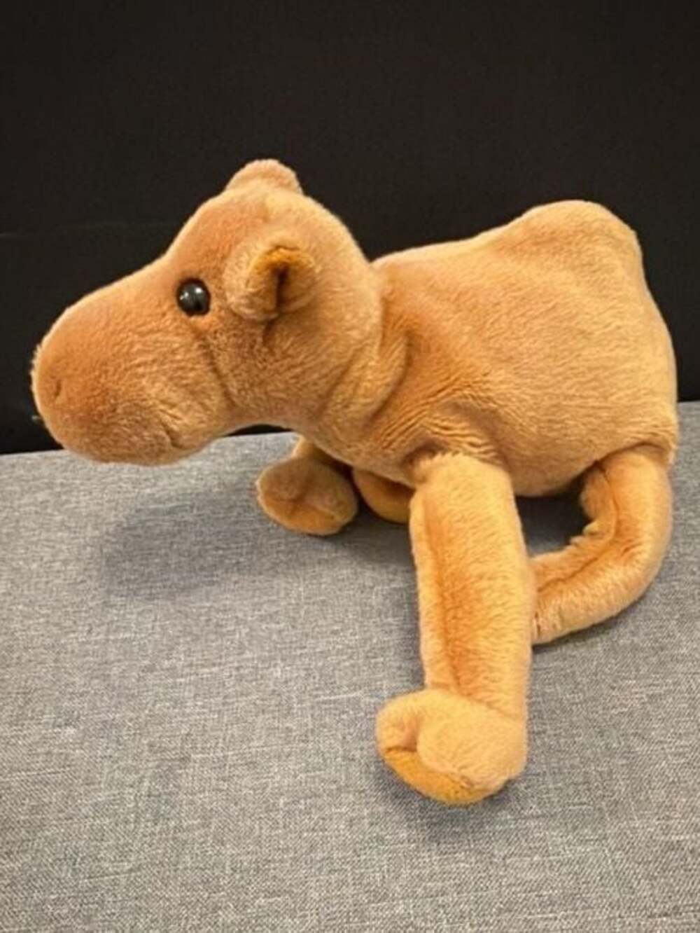 Ty Beanie Buddies Humphrey The Camel Plush Stuffed Animal